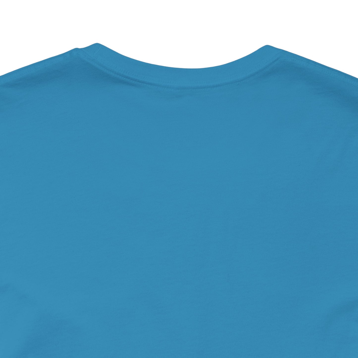 Professional DIY-er T Shirt