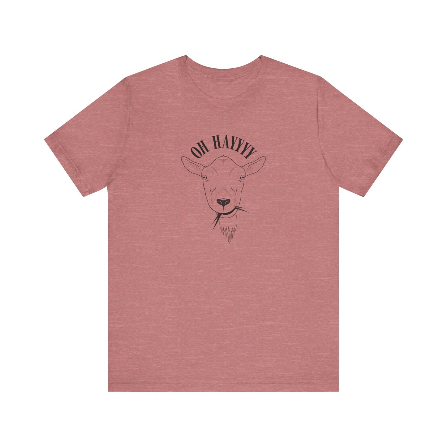 Oh Hayyyy T Shirt