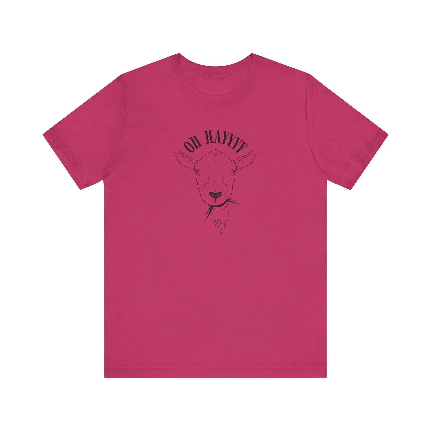 Oh Hayyyy T Shirt
