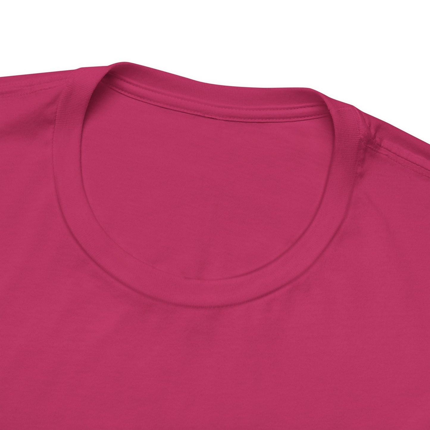 Professional DIY-er T Shirt