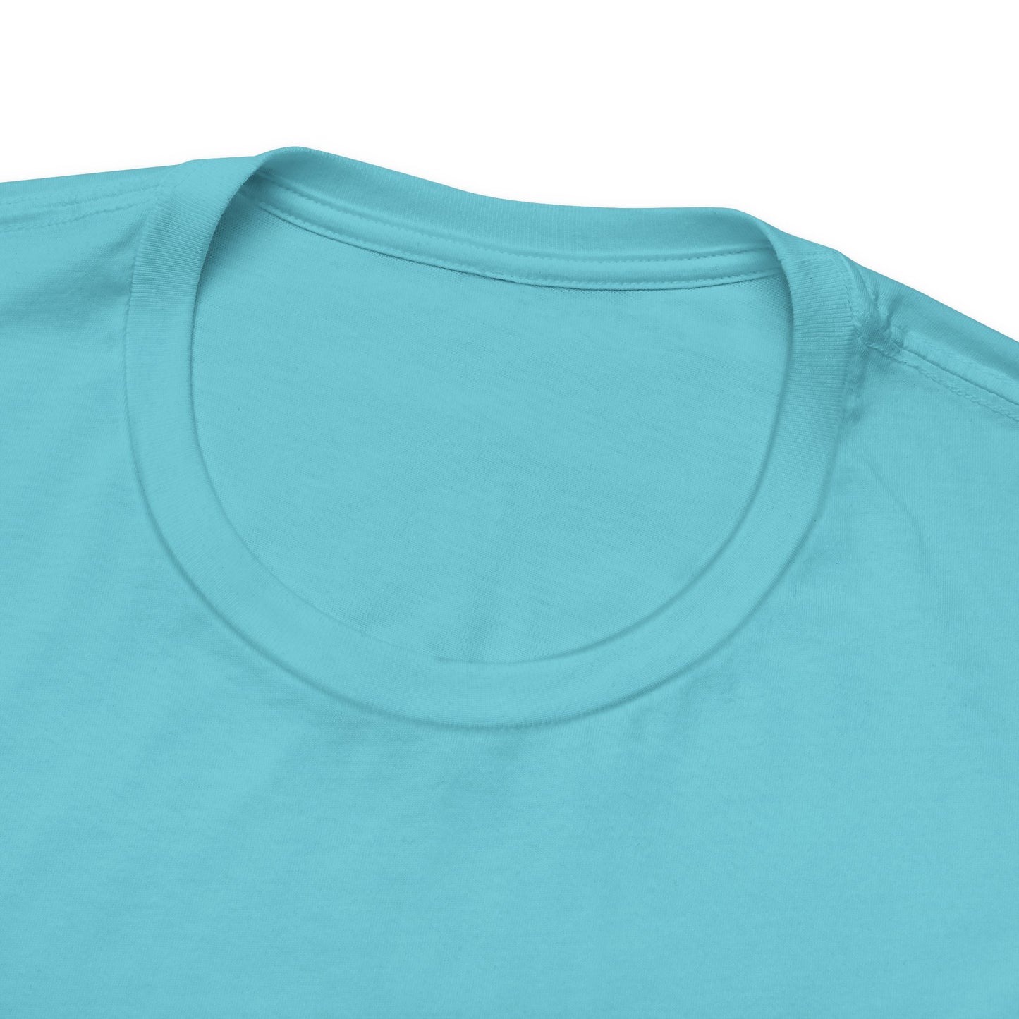 Professional DIY-er T Shirt