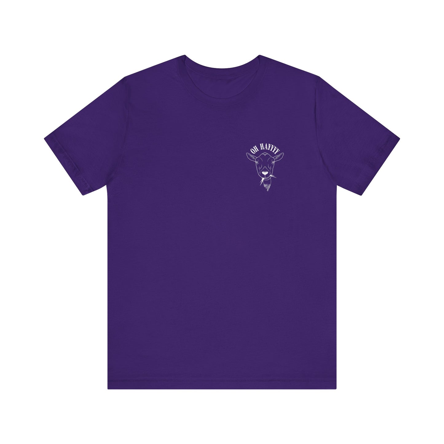 Oh Hayyyy T Shirt (pocket design)
