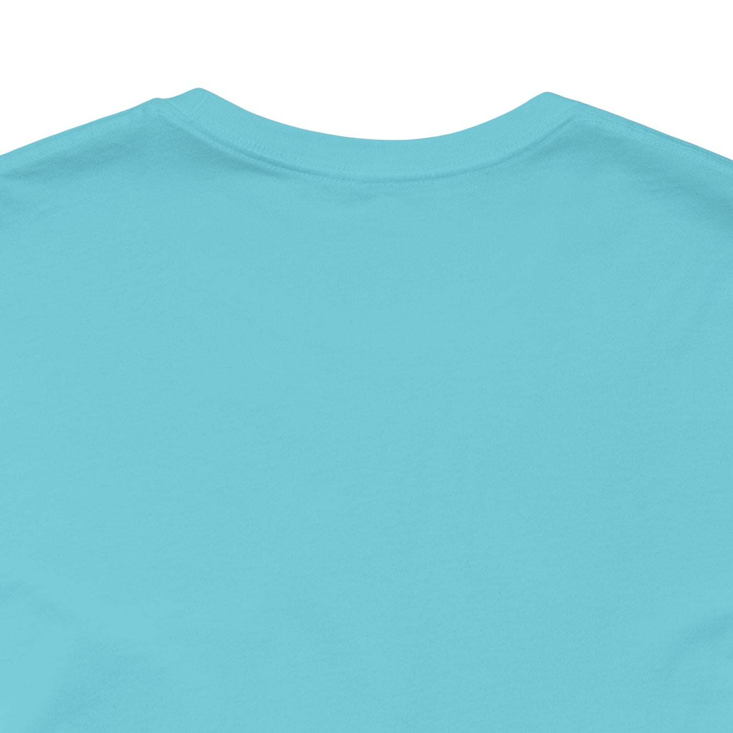 Professional DIY-er T Shirt