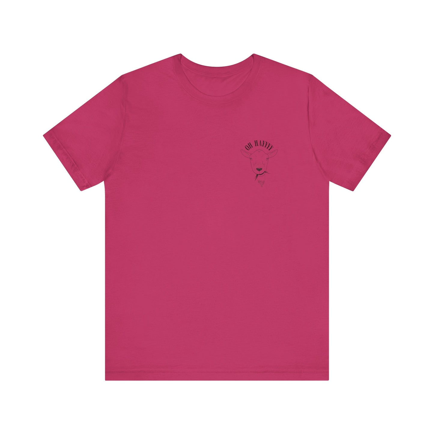 Oh Hayyyy T Shirt (pocket design)
