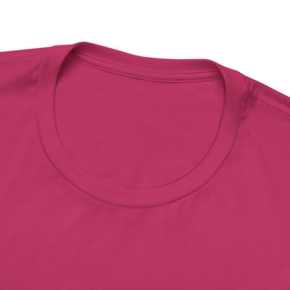 Professional DIY-er T Shirt