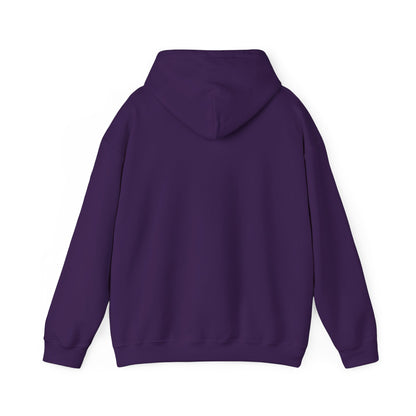 Recess Rejects Kickball Hoodie