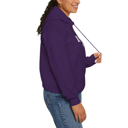 Recess Rejects Kickball Hoodie