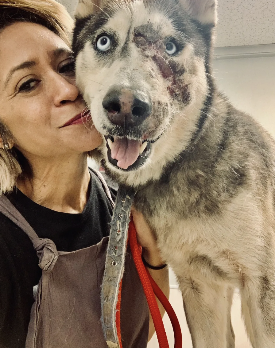 Woman with rescued street dog with healing injuries